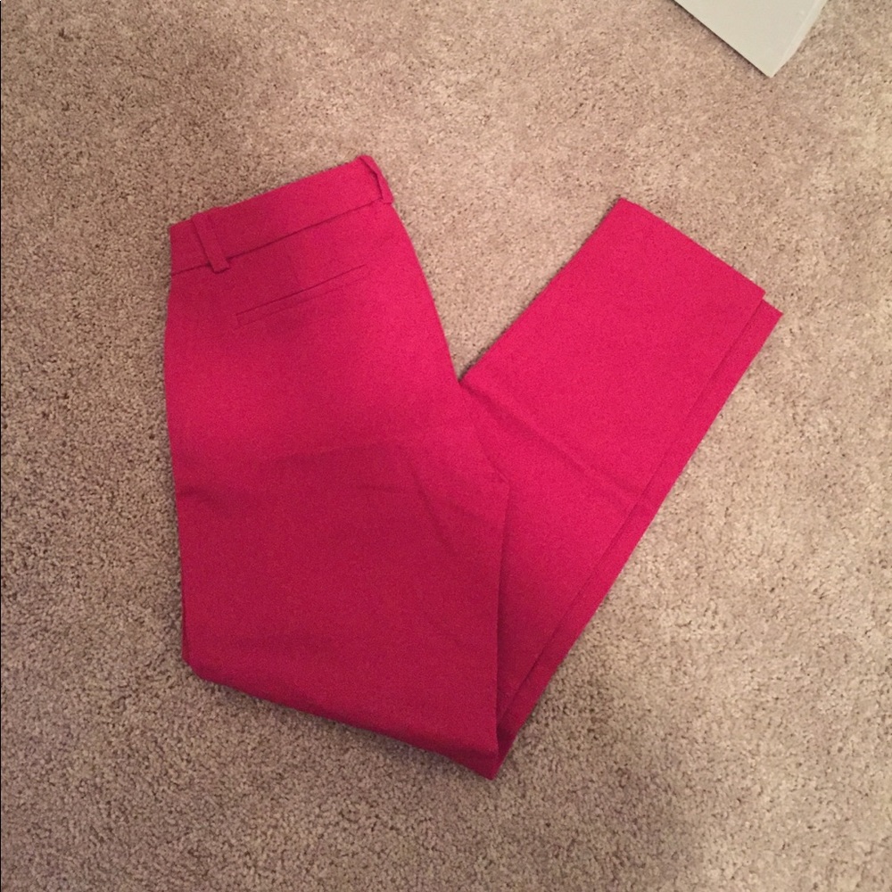 J Crew Winnie Pant